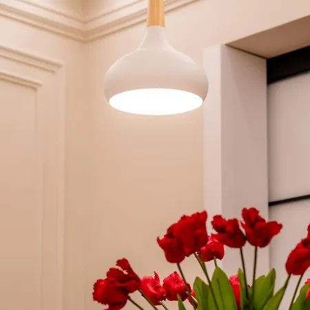 Apartment Orchid In The Heart Of Tirana