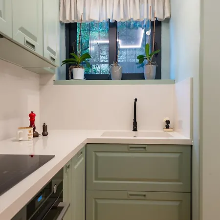 Orchid In The Heart Of Apartment